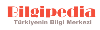 bilgipedia.com.tr
